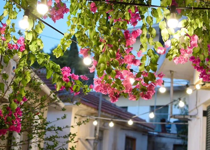 Daniela Casa de Férias *