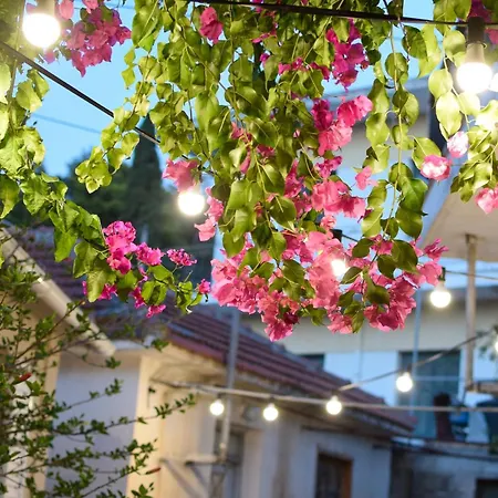 Daniela Case de vacanță *