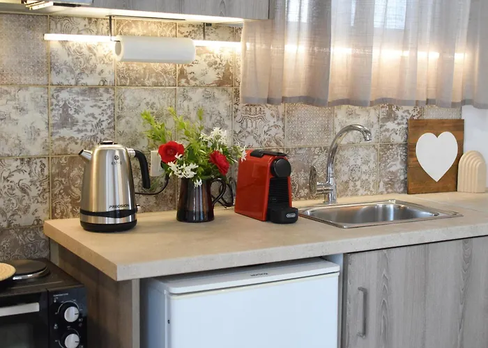 Daniela Case de vacanță *