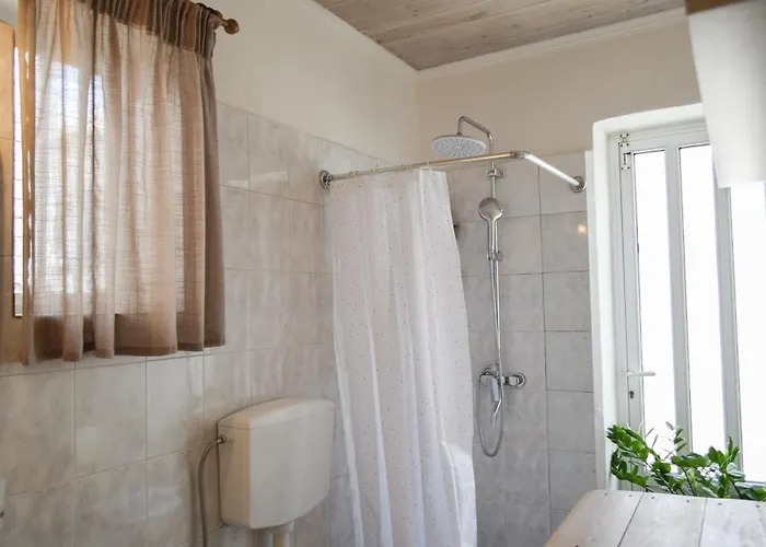 Case de vacanță Daniela